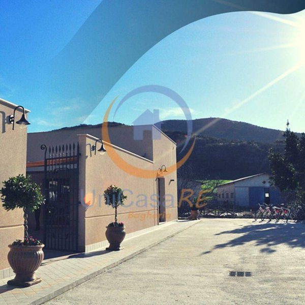 azienda agricola in vendita a Collesano