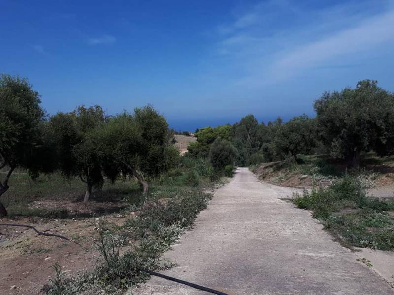 casa indipendente in vendita a Collesano