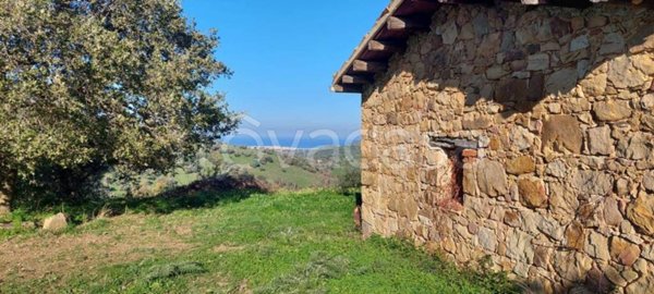 azienda agricola in vendita a Collesano