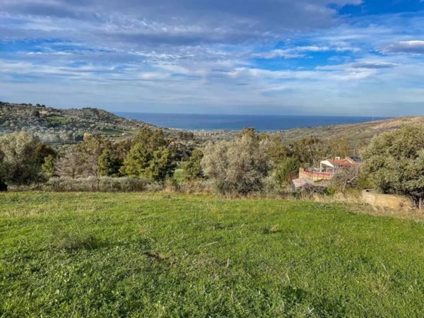 terreno agricolo in vendita a Collesano