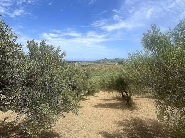 terreno agricolo in vendita a Collesano