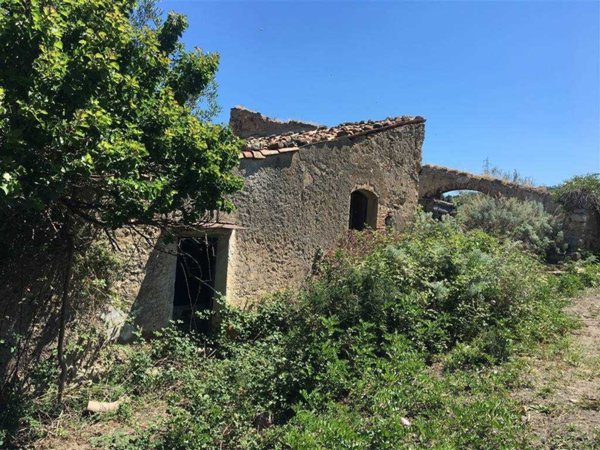 azienda agricola in vendita a Collesano
