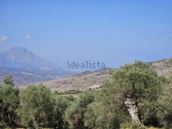 terreno in vendita a Collesano