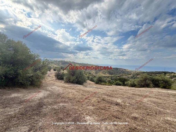 terreno agricolo in vendita a Collesano