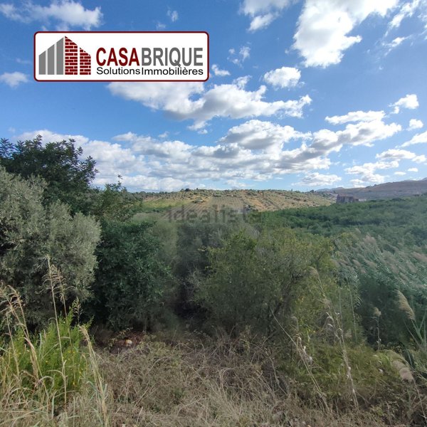 terreno agricolo in vendita a Collesano