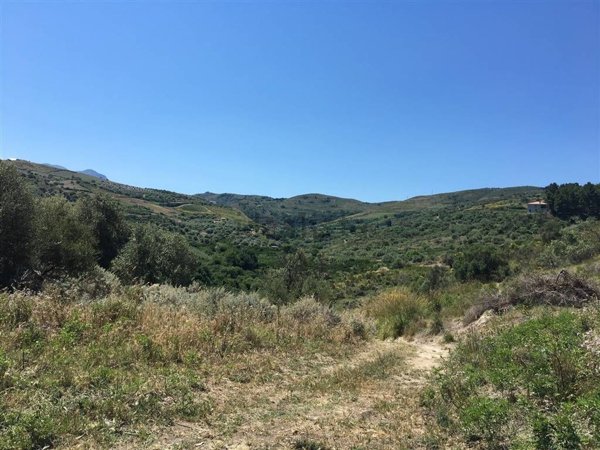 terreno agricolo in vendita a Collesano