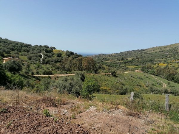 terreno agricolo in vendita a Collesano
