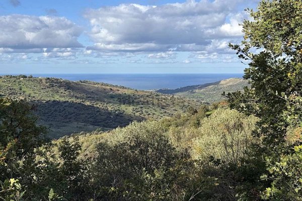 terreno edificabile in vendita a Collesano