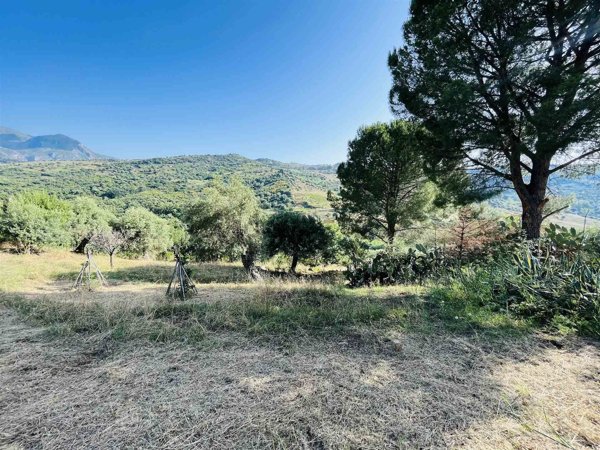terreno in vendita a Collesano