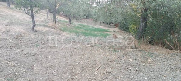 terreno in vendita a Collesano