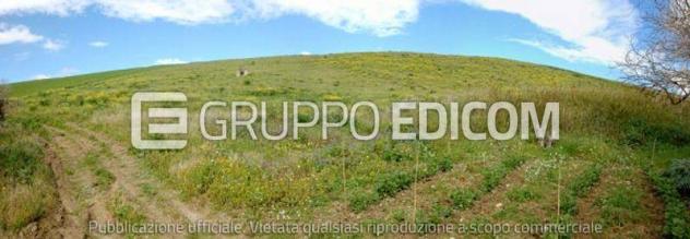 terreno agricolo in vendita a Contessa Entellina