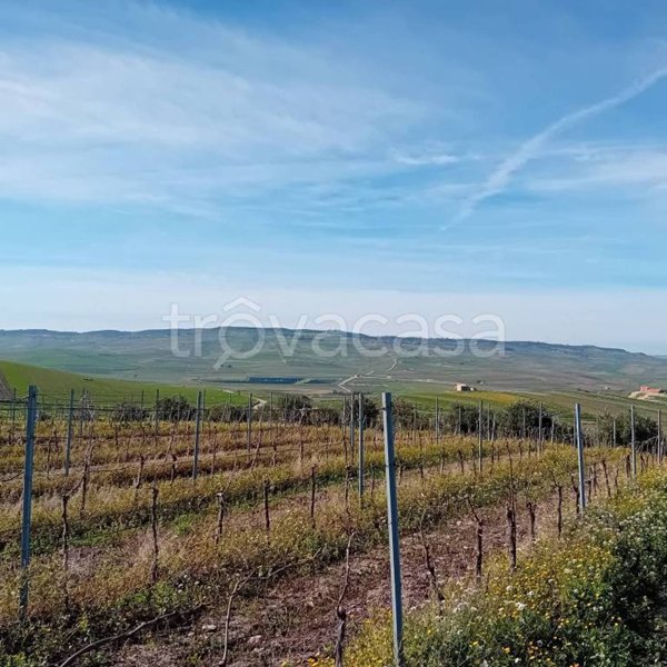 terreno agricolo in vendita a Contessa Entellina