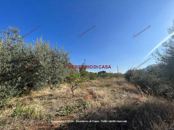 terreno agricolo in vendita a Ficarazzi