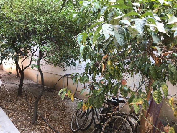 casa indipendente in vendita a Ficarazzi