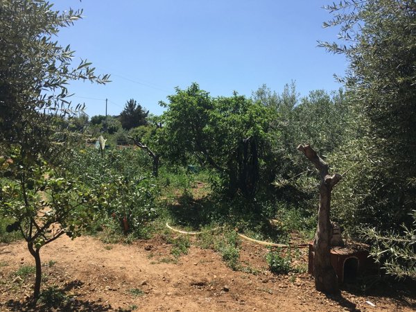 appartamento in vendita a Ficarazzi