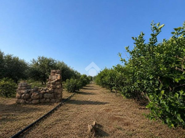 terreno agricolo in vendita a Ficarazzi