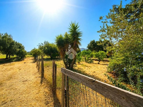terreno agricolo in vendita a Ficarazzi