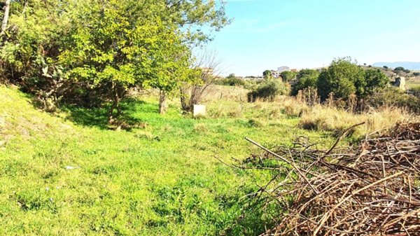 terreno agricolo in vendita a Godrano