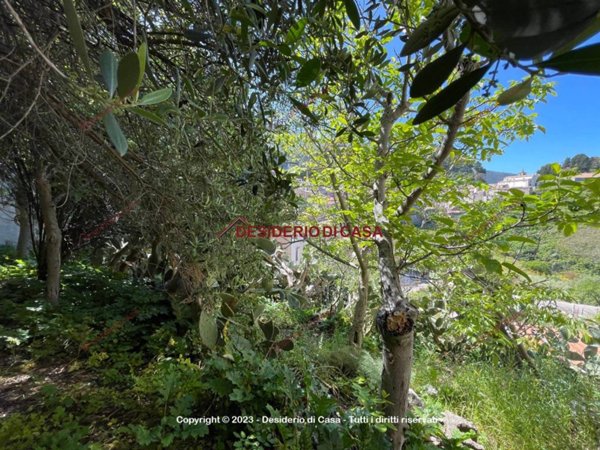 casa indipendente in vendita a Gratteri