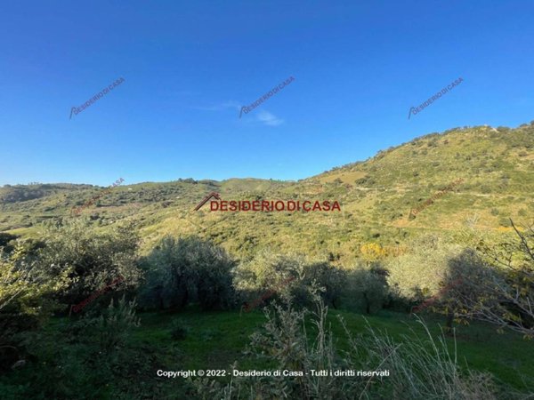terreno agricolo in vendita a Gratteri