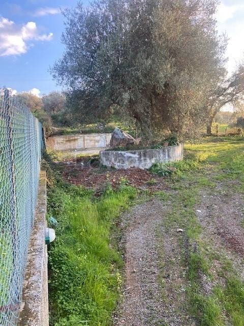 terreno agricolo in vendita a Gratteri