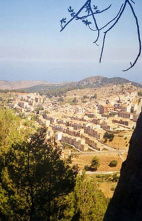 terreno agricolo in vendita a Gratteri