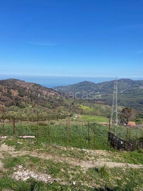 terreno agricolo in vendita a Gratteri