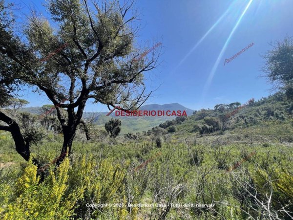 terreno agricolo in vendita a Gratteri