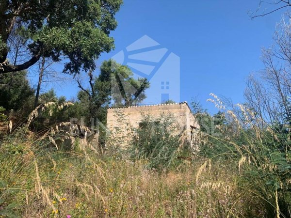terreno agricolo in vendita a Gratteri