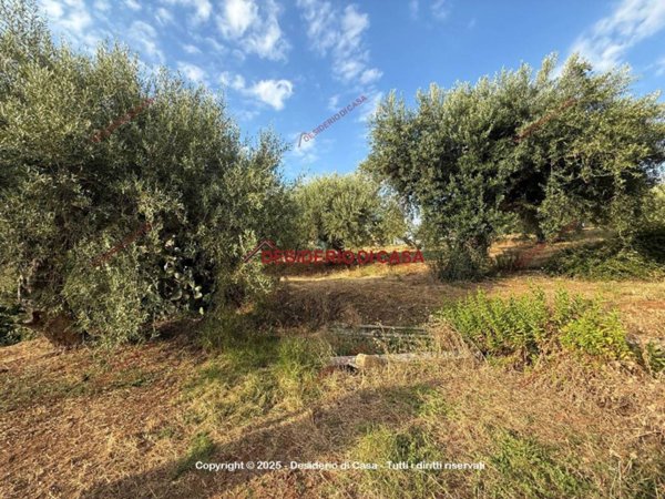 casa indipendente in vendita a Gratteri
