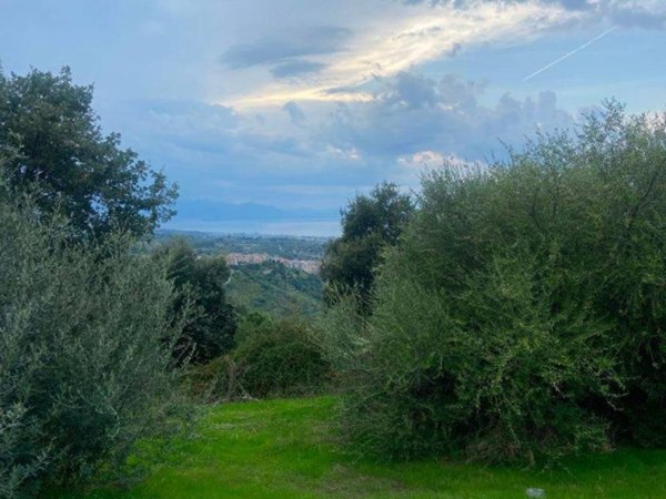 terreno agricolo in vendita a Gratteri