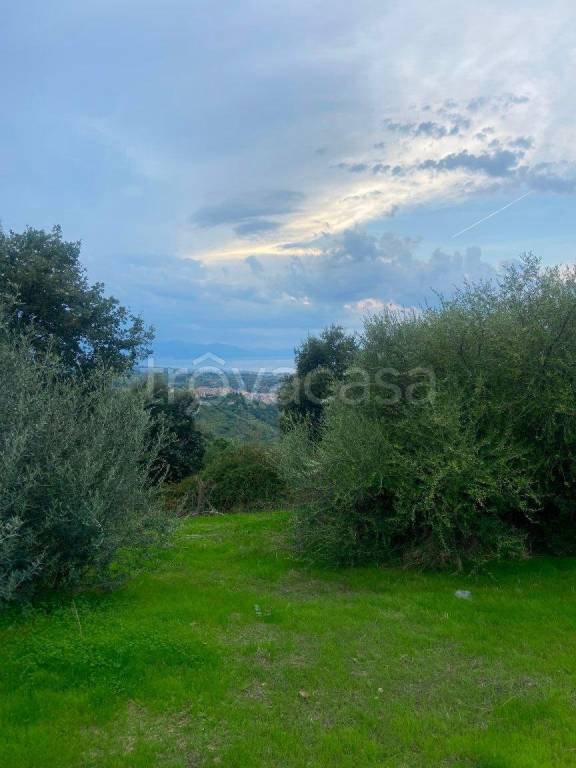 terreno agricolo in vendita a Gratteri