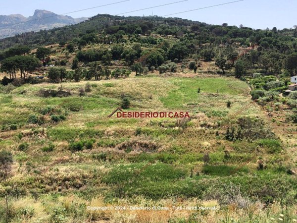 terreno agricolo in vendita a Gratteri