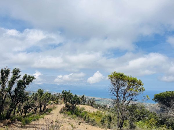 terreno agricolo in vendita a Gratteri