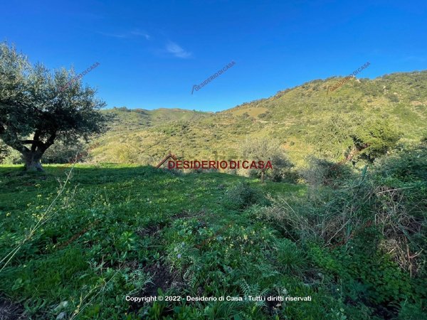 terreno agricolo in vendita a Gratteri