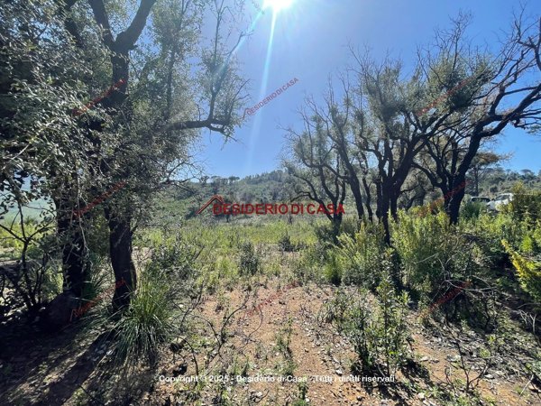 casa indipendente in vendita a Gratteri