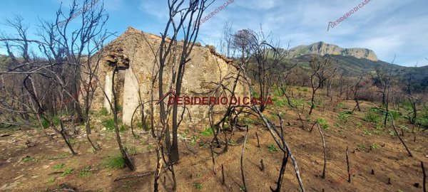 terreno agricolo in vendita a Gratteri