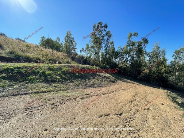 terreno agricolo in vendita a Gratteri
