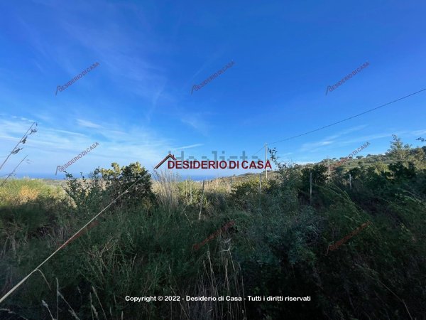 terreno agricolo in vendita a Gratteri