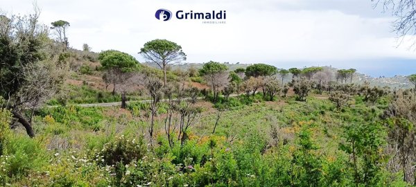 rudere in vendita a Gratteri