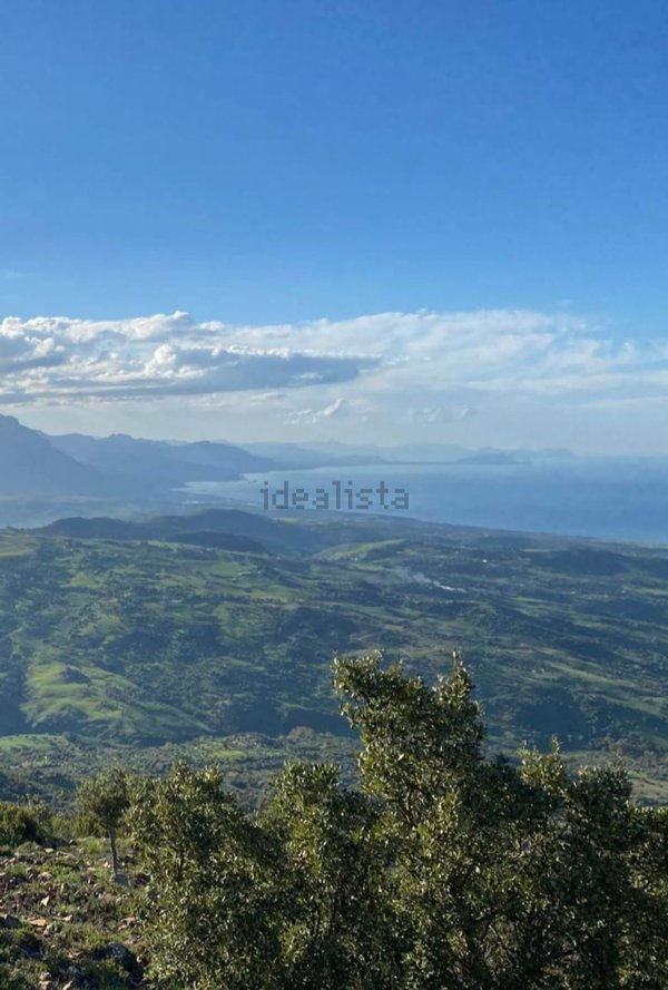 esavano in vendita a Gratteri