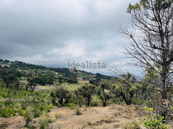 terreno agricolo in vendita a Gratteri