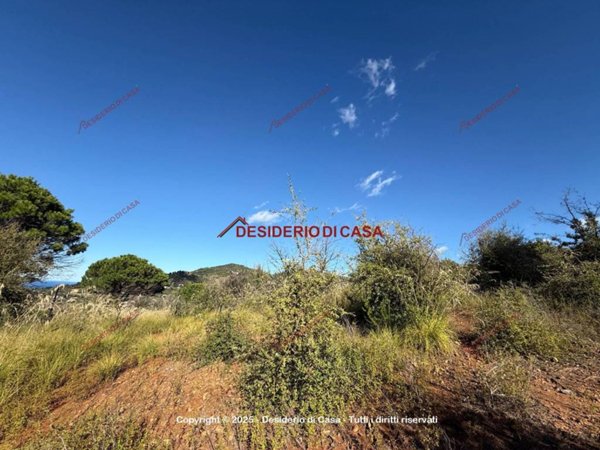 terreno agricolo in vendita a Gratteri