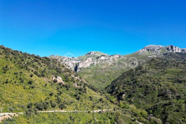 terreno in vendita a Gratteri