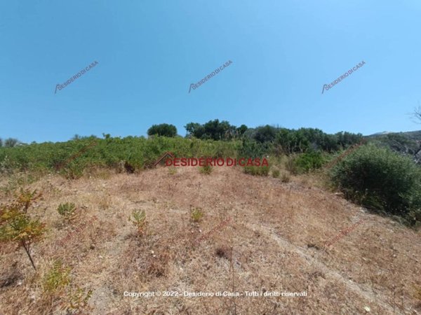 terreno agricolo in vendita a Lascari