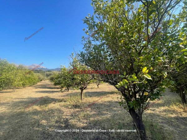 terreno agricolo in vendita a Lascari