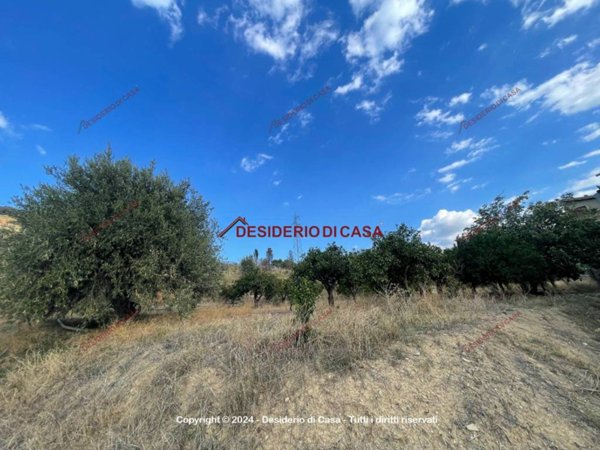 terreno agricolo in vendita a Lascari