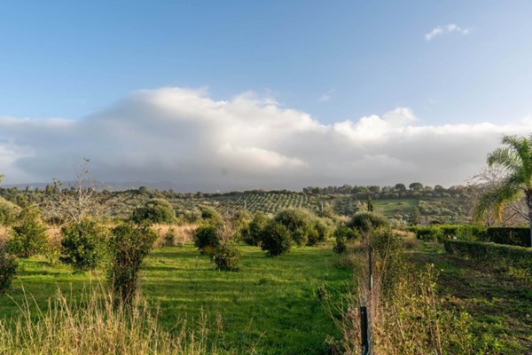 terreno agricolo in vendita a Lascari