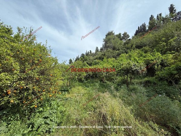 terreno edificabile in vendita a Lascari