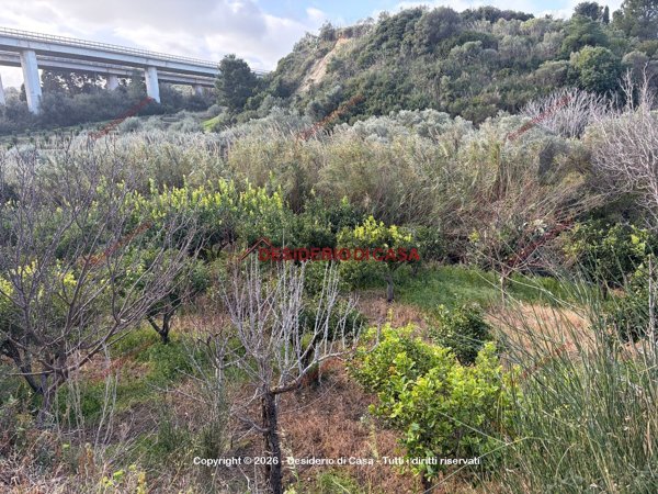 terreno agricolo in vendita a Lascari